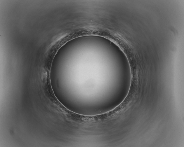 X0000114511302200910191124