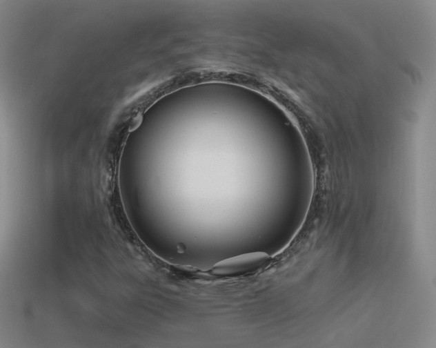 X0000114511303200910191124