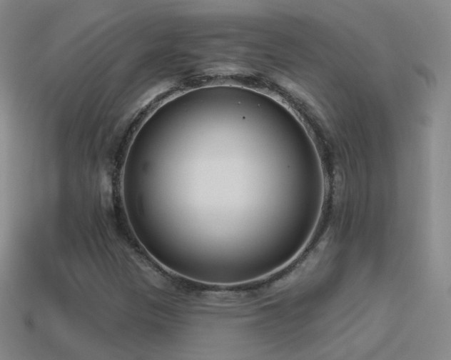 X0000114511305200910191124