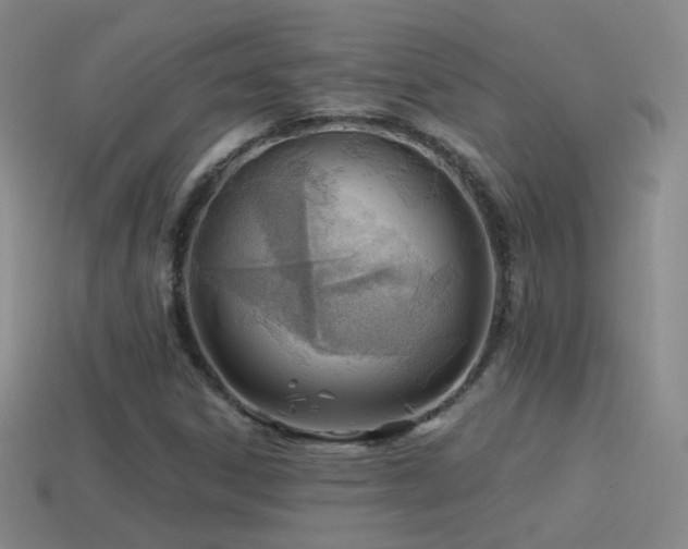X0000114511306200910191124