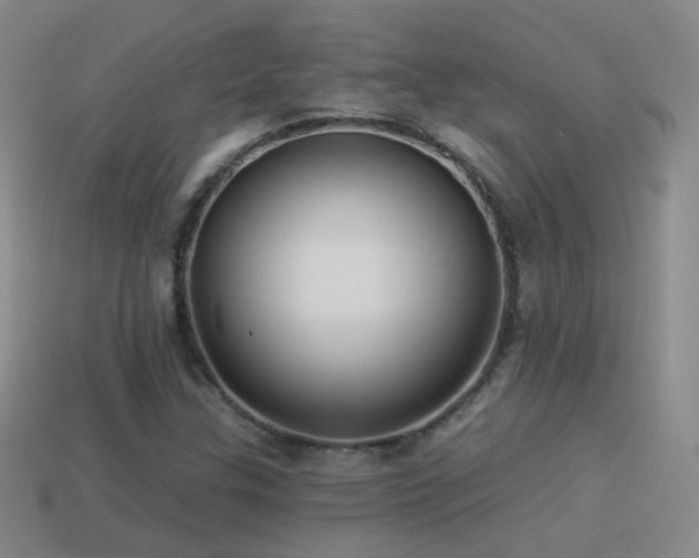X0000114511307200910191124