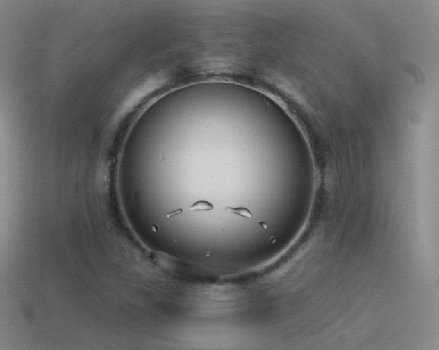 X0000114511309200910191124