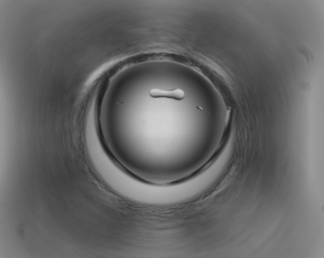 X0000114511310200910191124