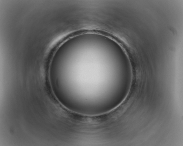 X0000114511311200910191124