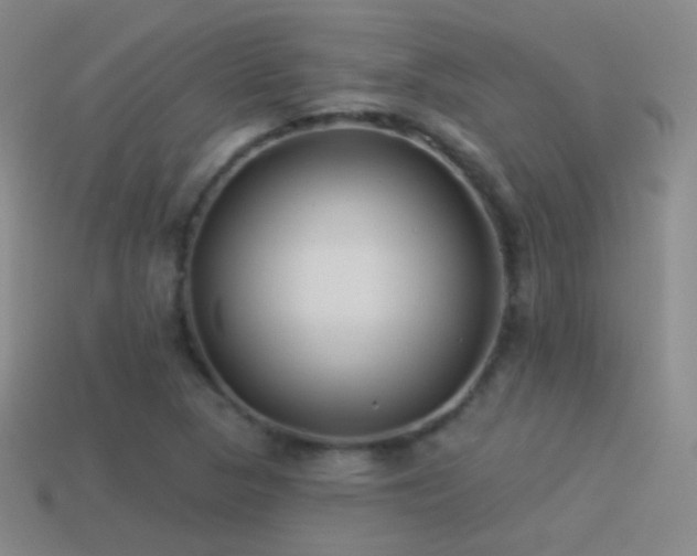 X0000114511313200910191124