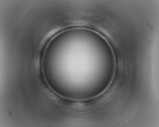 X0000114511315200910191124