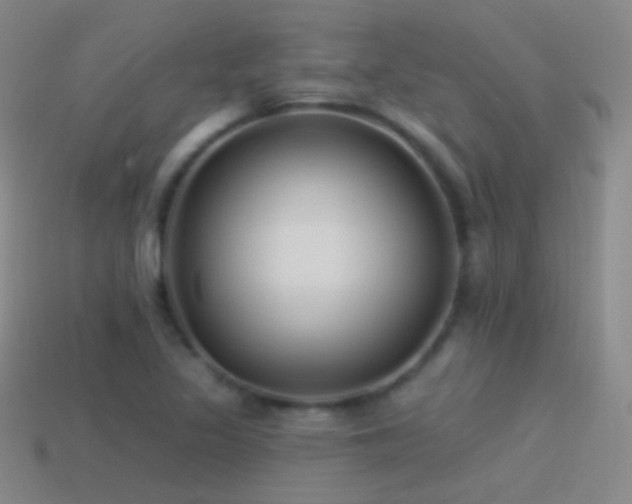 X0000114511317200910191124