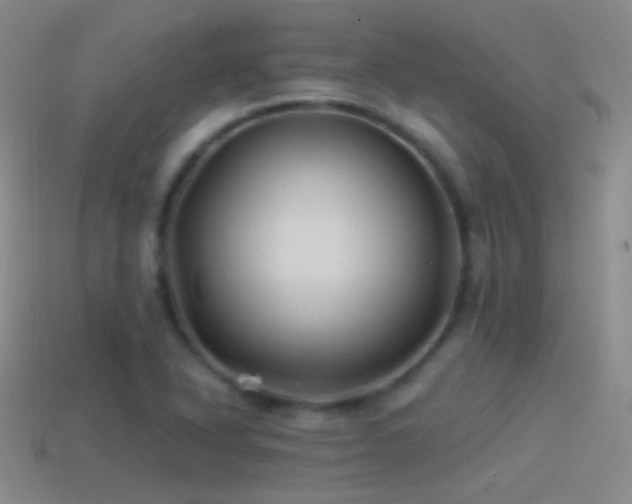 X0000114511318200910191124