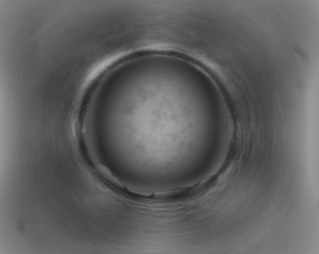 X0000114511319200910191124