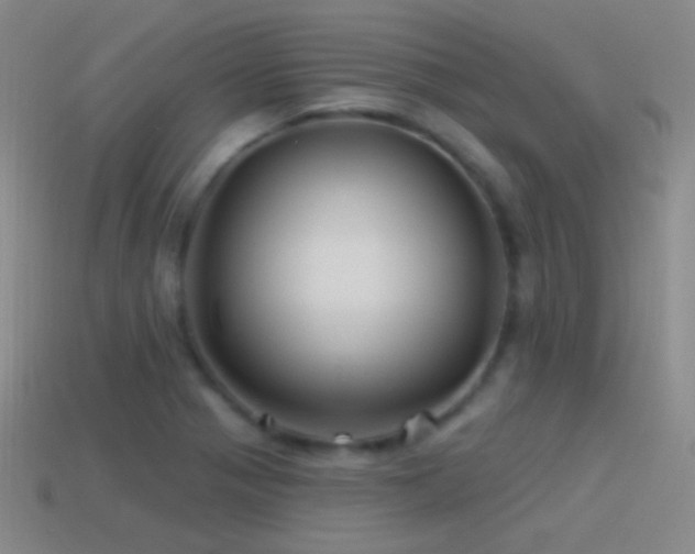X0000114511321200910191124
