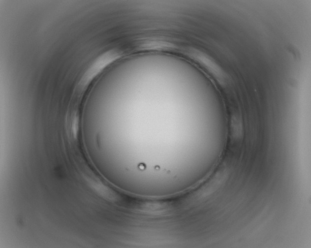 X0000114511322200910191124
