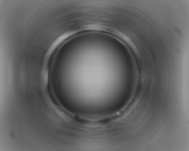 X0000114511323200910191124