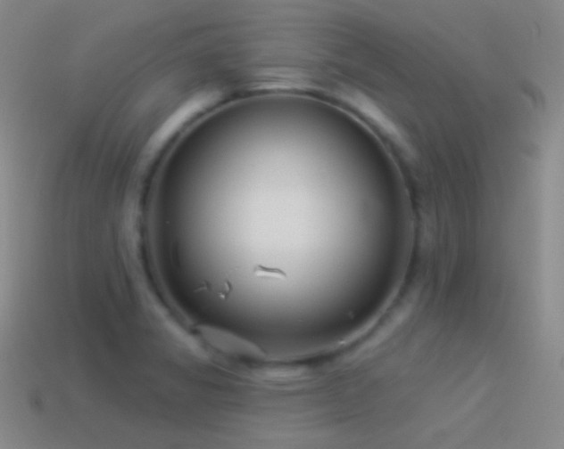 X0000114511325200910191124