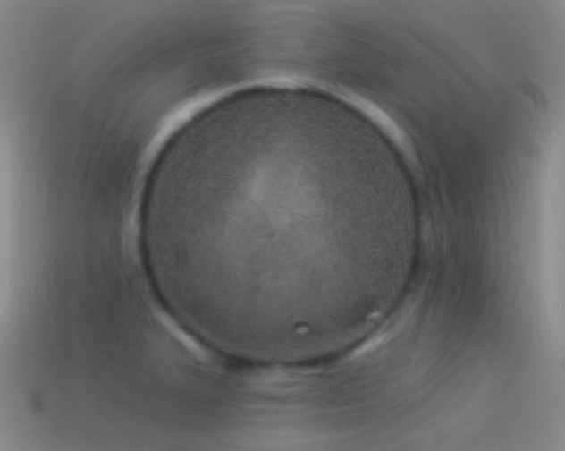 X0000114511327200910191124