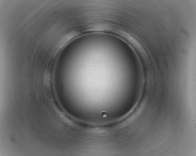 X0000114511329200910191124
