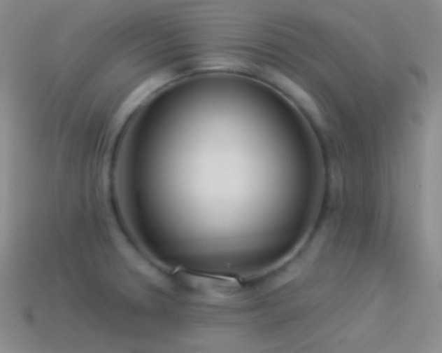 X0000114511330200910191124