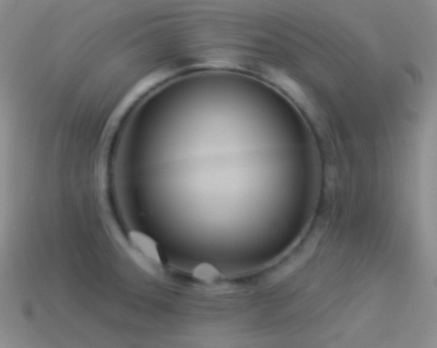 X0000114511331200910191124