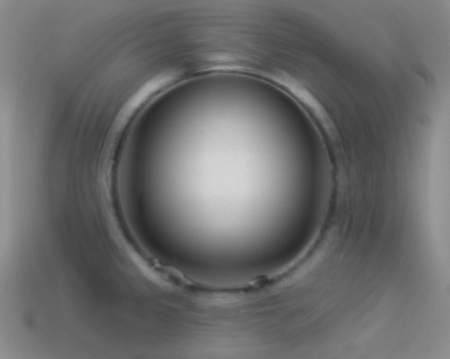 X0000114511333200910191124