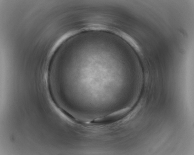 X0000114511334200910191124