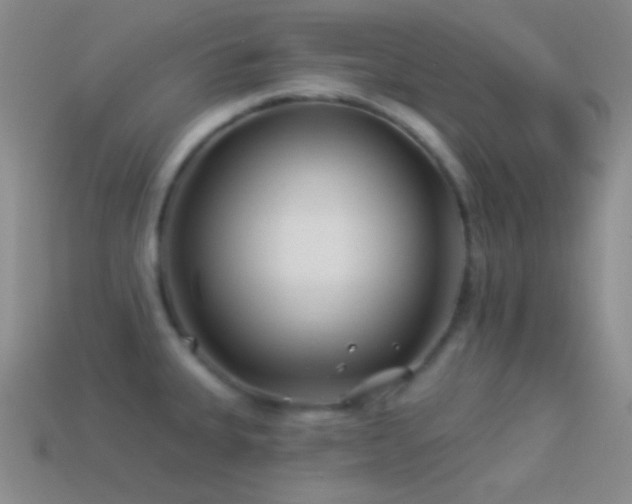 X0000114511335200910191124