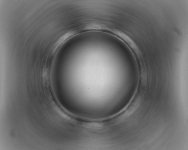 X0000114511337200910191124