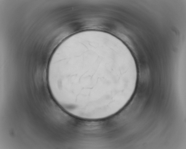 X0000114511338200910191125