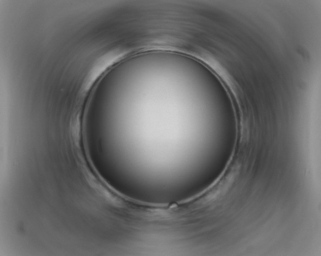 X0000114511341200910191125