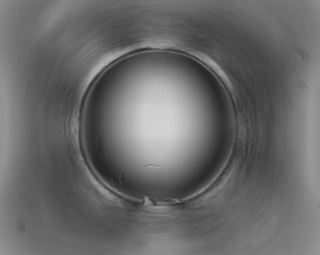 X0000114511343200910191125