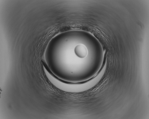 X0000114511345200910191124