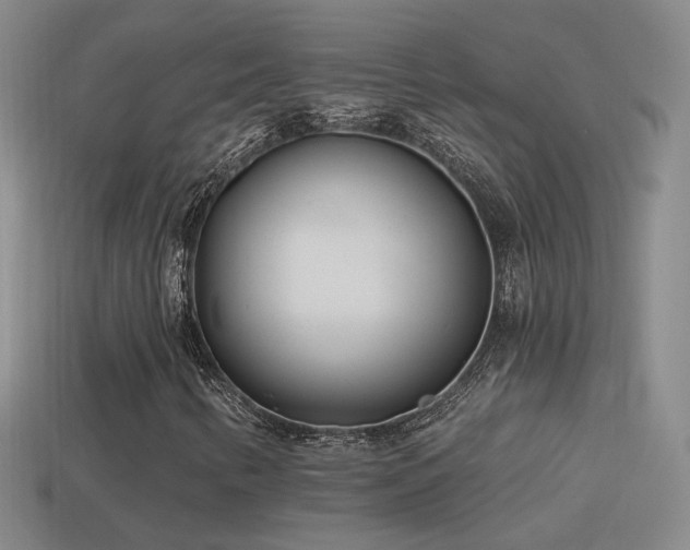 X0000114511346200910191124