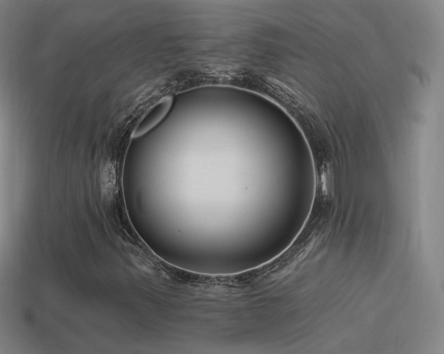 X0000114511347200910191124