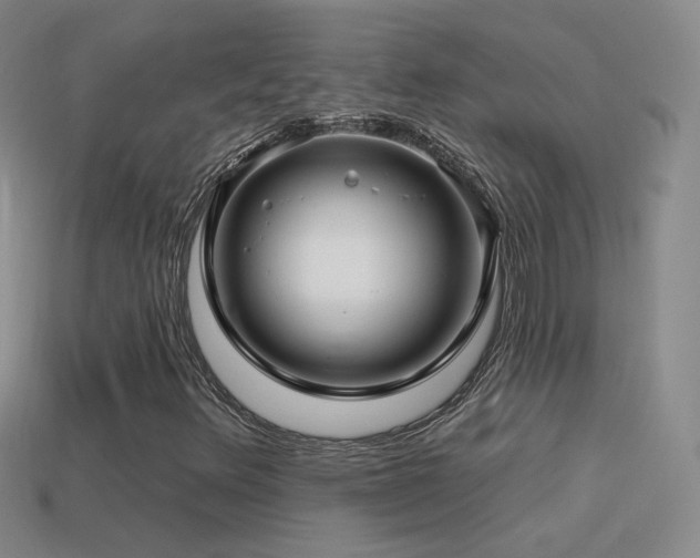X0000114511348200910191124