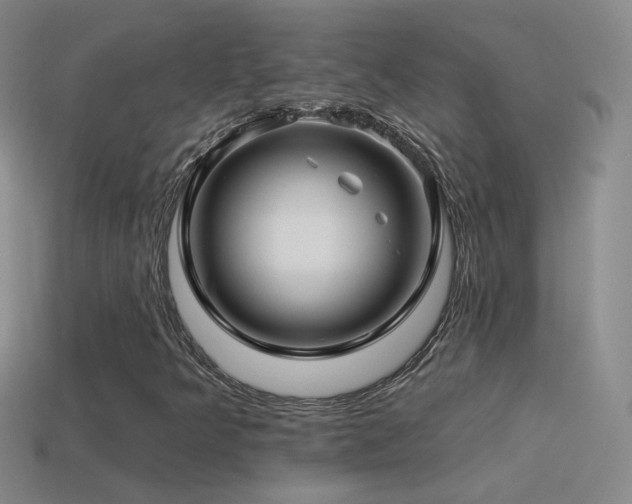 X0000114511349200910191124
