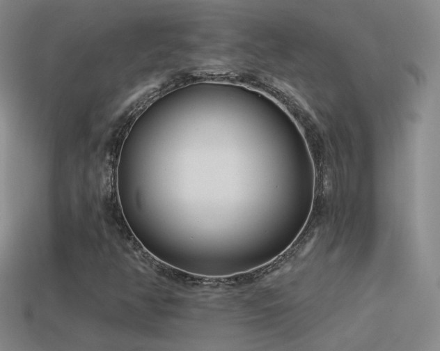 X0000114511350200910191124