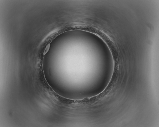 X0000114511351200910191124