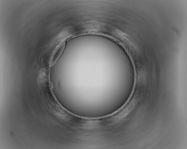 X0000114511353200910191124