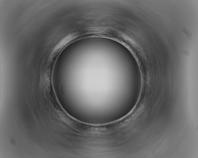 X0000114511354200910191124