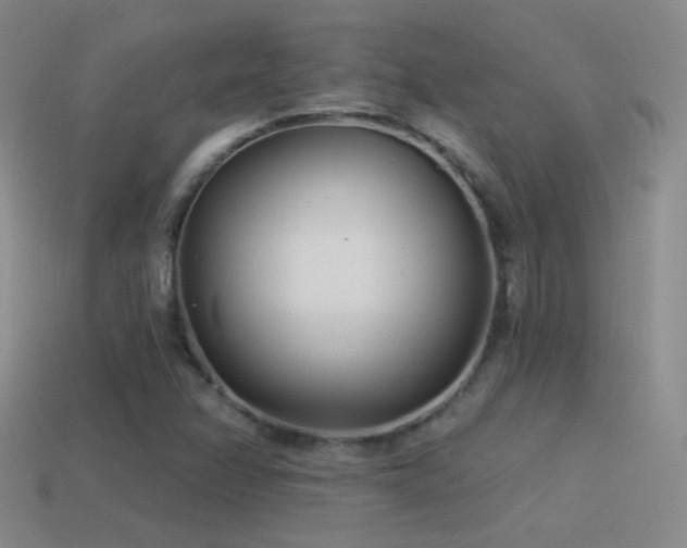 X0000114511358200910191124