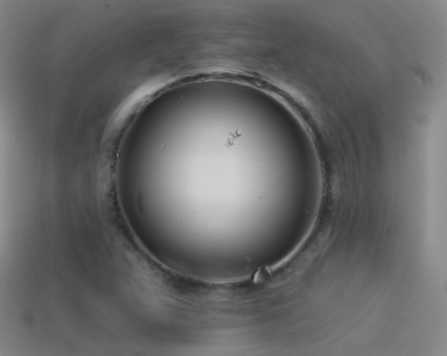 X0000114511359200910191124