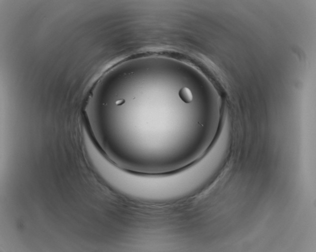 X0000114511361200910191124