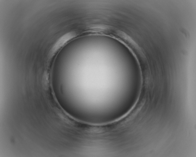 X0000114511362200910191124
