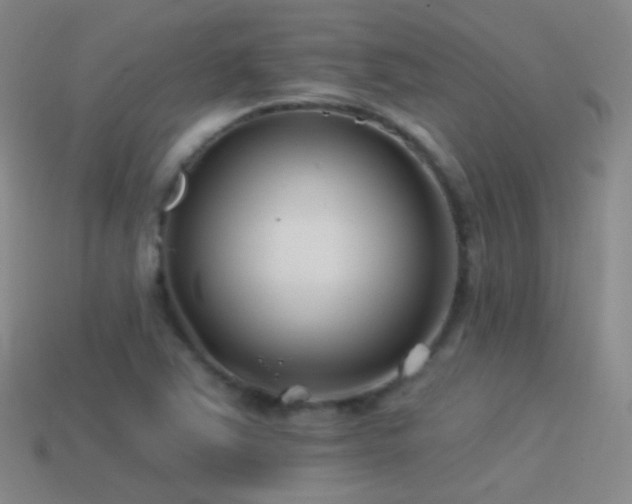 X0000114511363200910191124