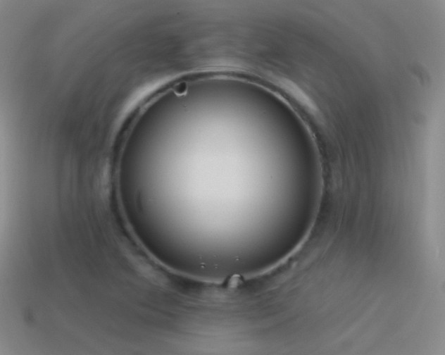 X0000114511364200910191124
