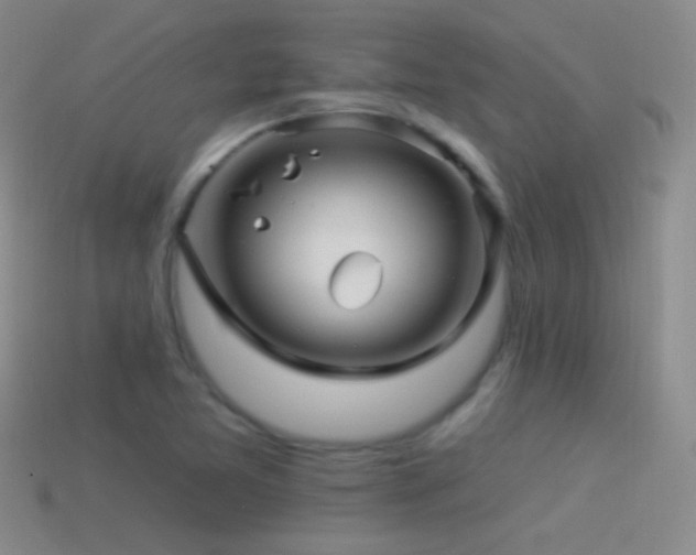 X0000114511365200910191124