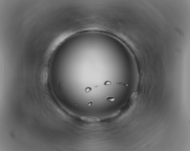 X0000114511367200910191124