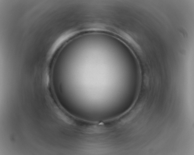 X0000114511368200910191124