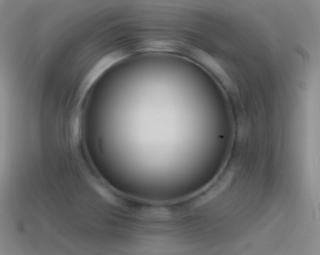 X0000114511370200910191124