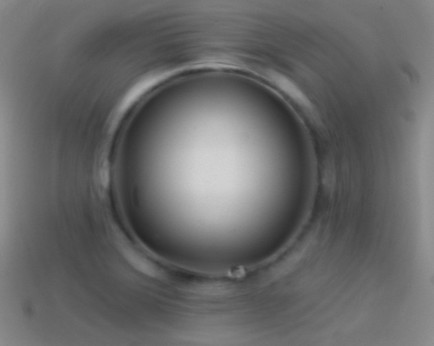 X0000114511372200910191124