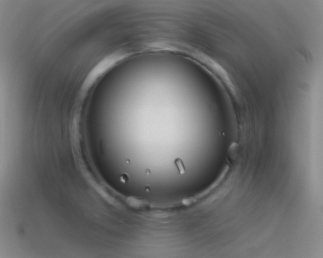 X0000114511373200910191124