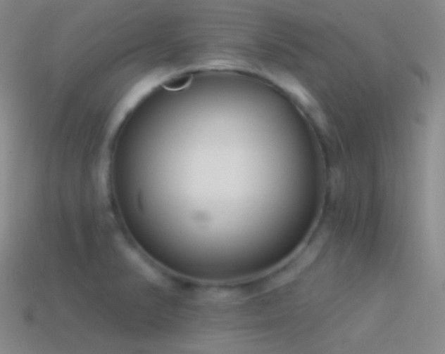 X0000114511374200910191124